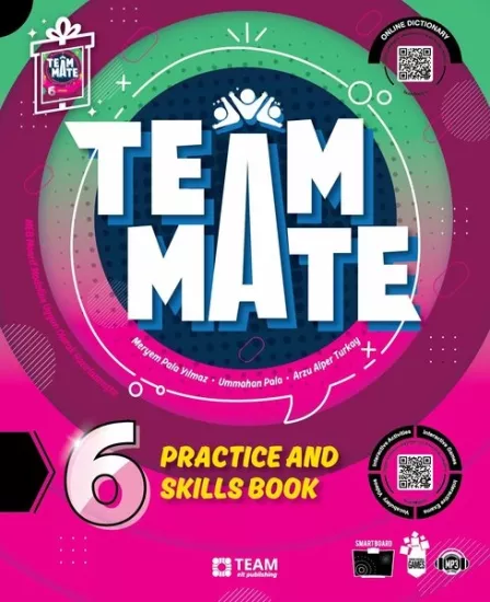TEAM MATE 6.SINIF PRACTICE AND SKILLS BOOK